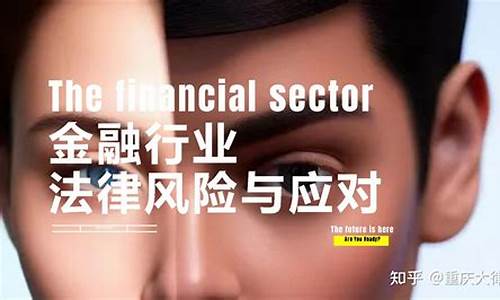 大律师如何应对法律危机
